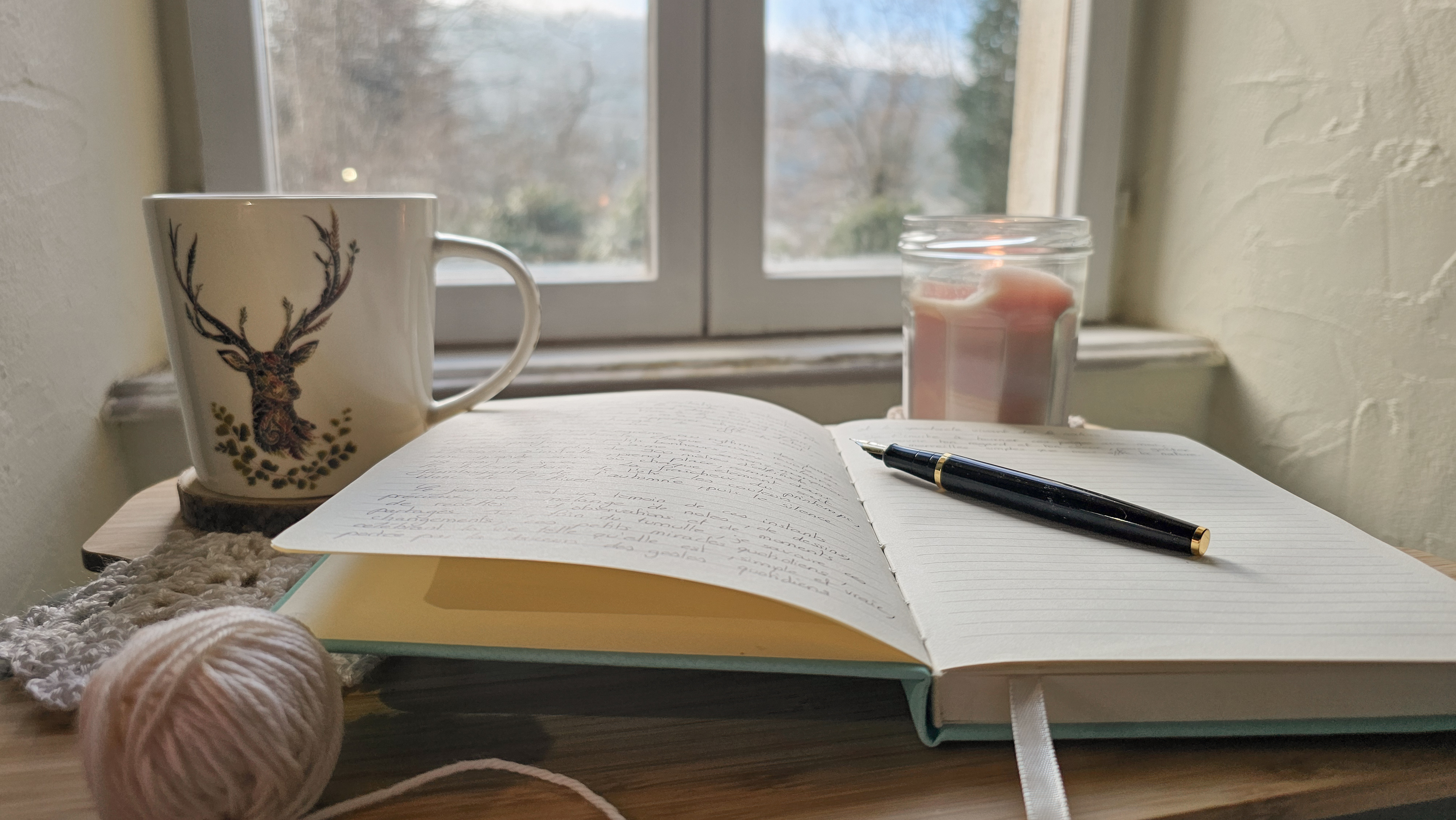 Pourquoi je tiens un journal de vie illustré